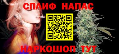 гашик Обь